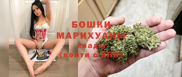Альфа ПВП Пестово