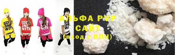 бошки Пересвет