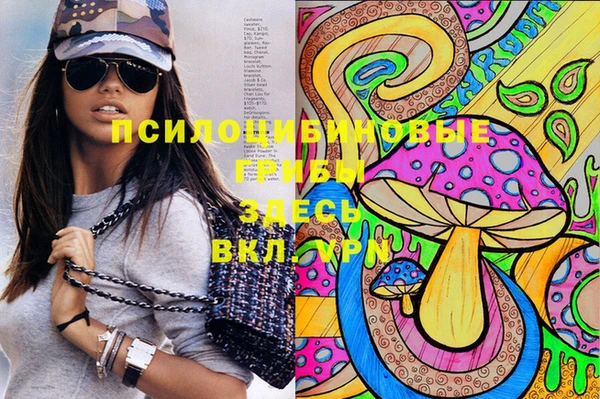 Альфа ПВП Пестово