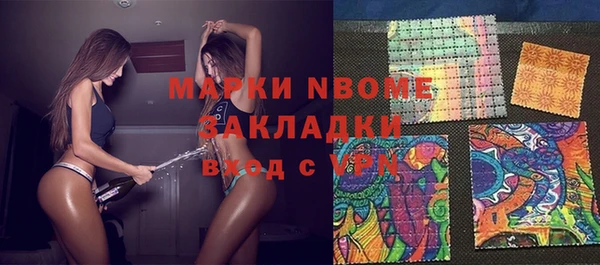 бошки Пересвет