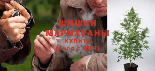 Альфа ПВП Пестово