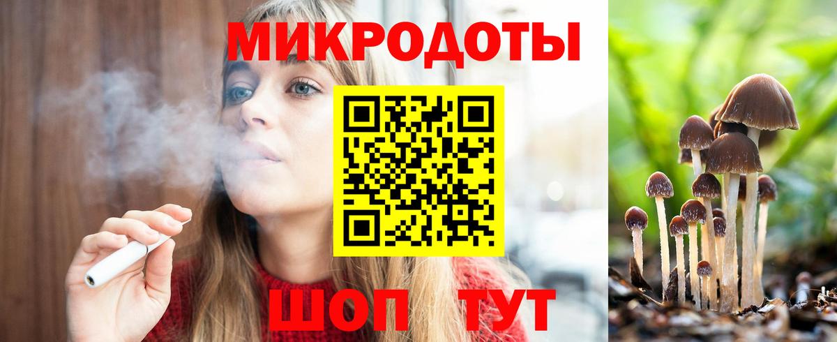 Галлюциногенные грибы Psilocybine cubensis Алатырь