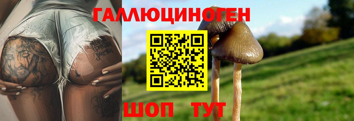 Псилоцибиновые грибы Magic Shrooms  Алатырь  Псилоцибиновые грибы Magic Shrooms 